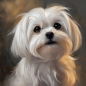 Preview: Diamond Painting Malteser